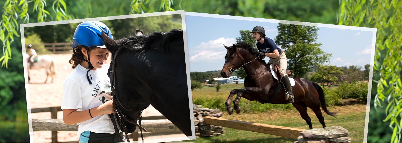 Horseback Riding at LBMC