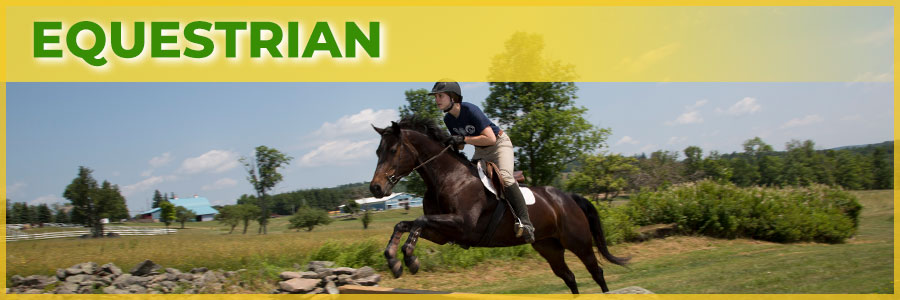 Equestrian Program at Camp Bryn Mawr